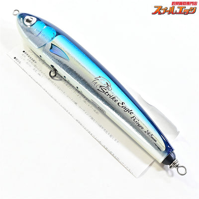 【カーペンター】 ストライクイーグル 150 FGタイプ FG-MD 245mm Carpenter Strike Eagle 海水用ルアー K_080