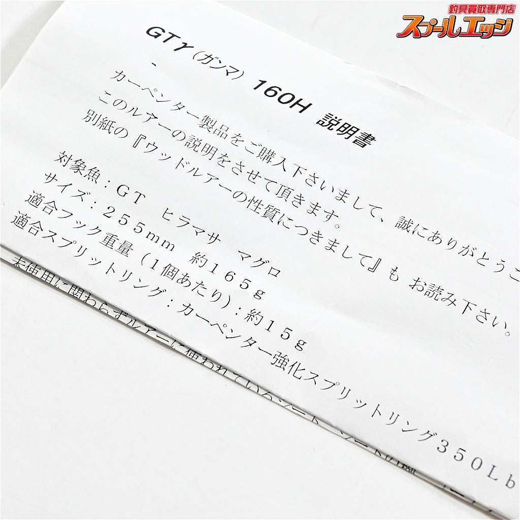 【カーペンター】 GTガンマ GT-γ 160H 255mm 165g 背黒 ブラック メタル貼り Carpenter GAMMMA 海水用ルアー K_060