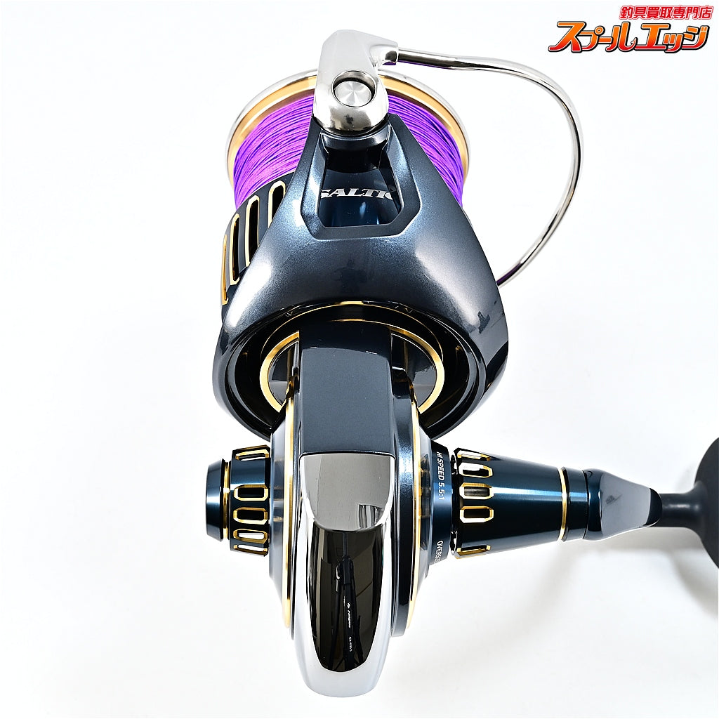 【ダイワ】 25ソルティガ 18000-H DAIWA SALTIGA