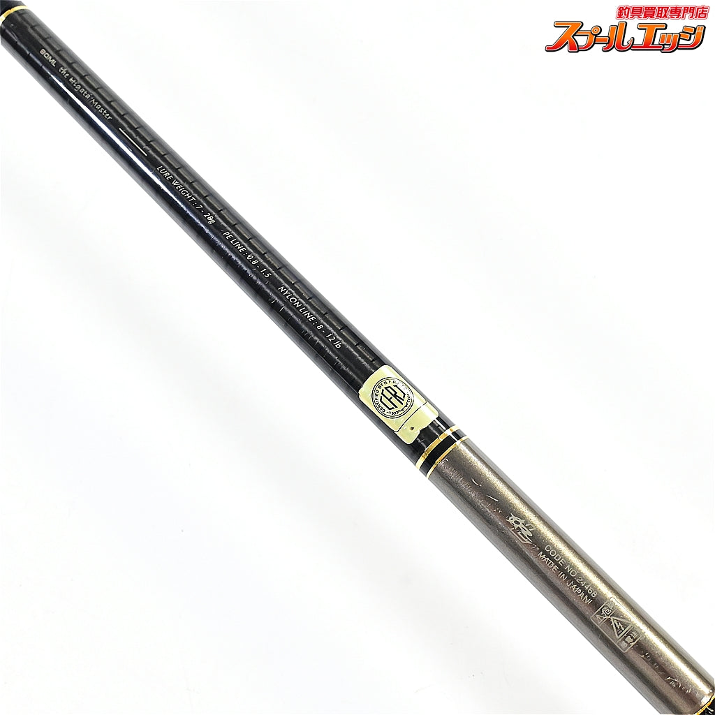 【がまかつ】 ラグゼ ソルテージ リフレックス レオザ 90ML ヒガタマスター Gamakatsu LUXXE SALTAGE LEOZA HIGATAMASTER シーバス チヌ K_185