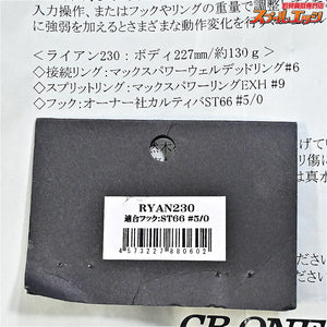 【CBONE】 シービーワン ライアン 230 ホログラム トビウオ CB ONE RYAN 海水用ルアー K_060