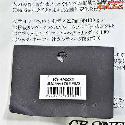 【CBONE】 シービーワン ライアン 230 ホログラム トビウオ CB ONE RYAN 海水用ルアー K_060