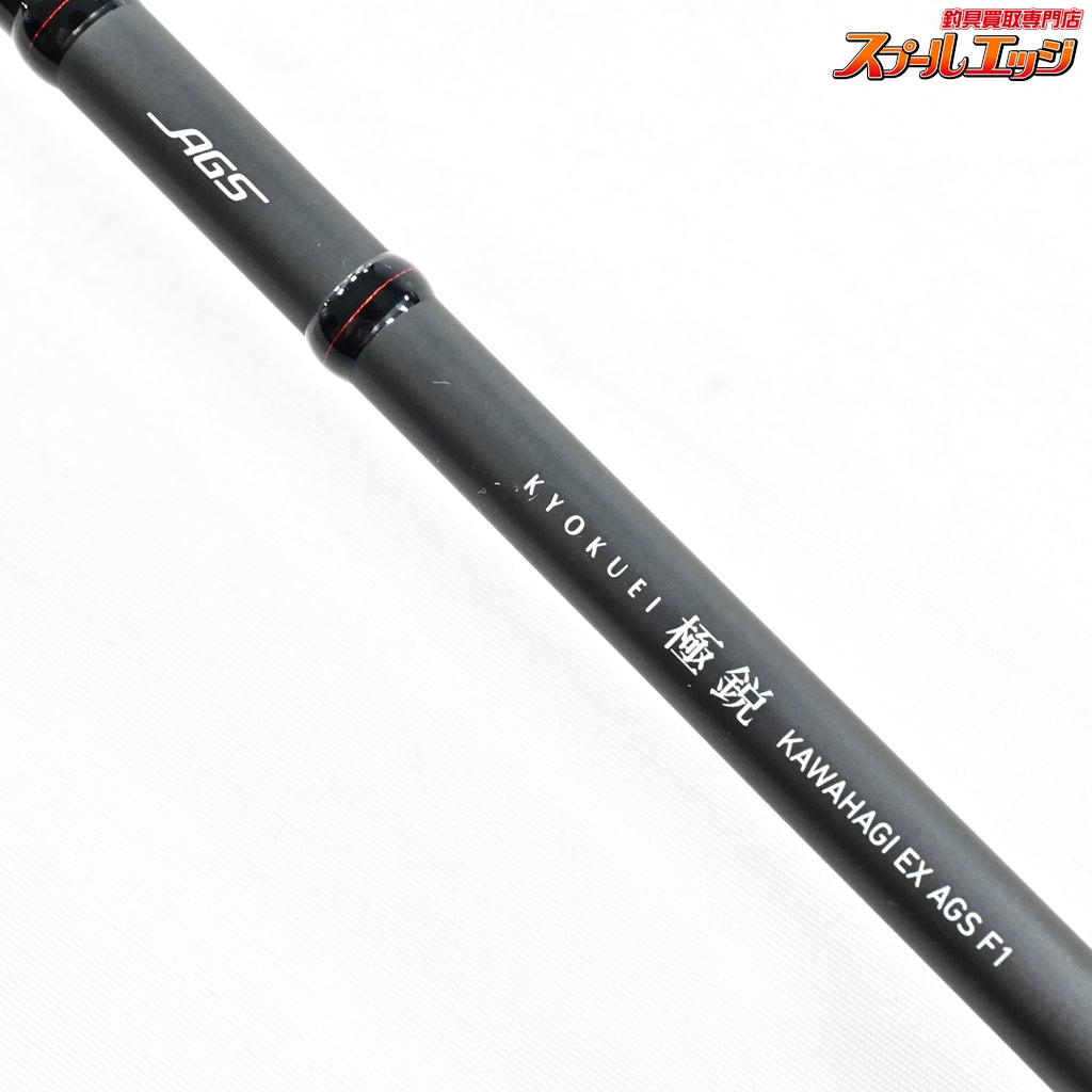 【ダイワ】 17極鋭 カワハギ EX AGS F1 DAIWA KYOKUEI KAWAHAGI カワハギ かわはぎ K_221