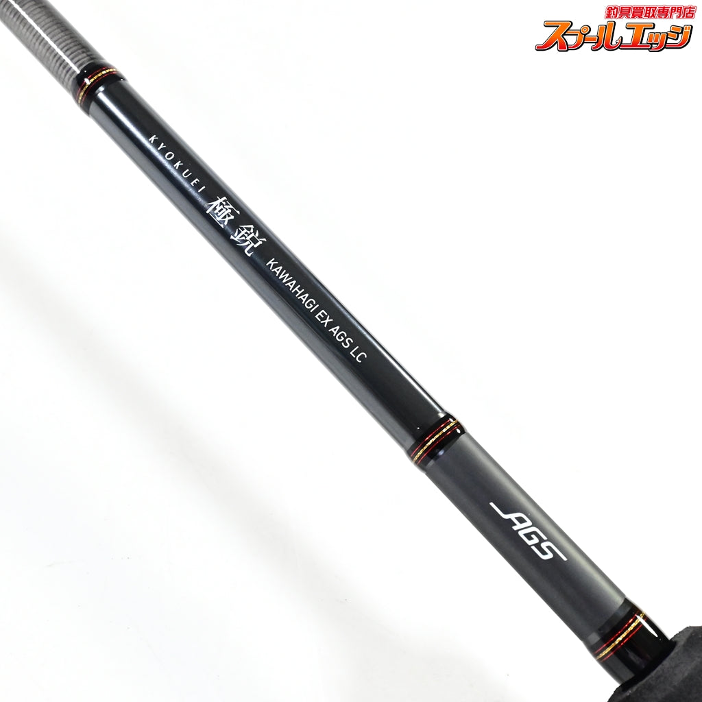 【ダイワ】 21極鋭カワハギ EX AGS LC DAIWA KYOKUEI KAWAHAGI カワハギ K_217