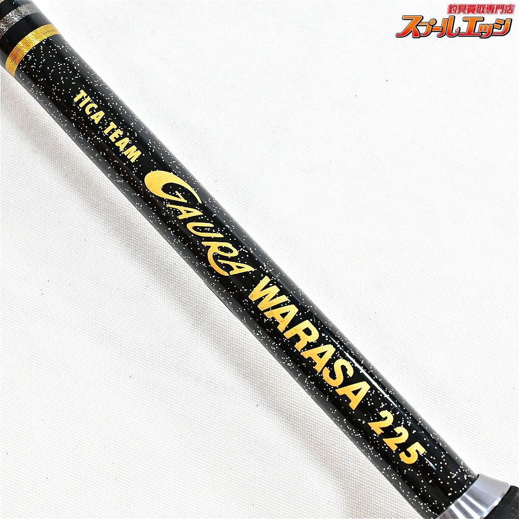 【ティカ】 チームガウラ ワラサ 225 TICA TEAM GAURA WARASA ワラサ ブリ カツオ K_224