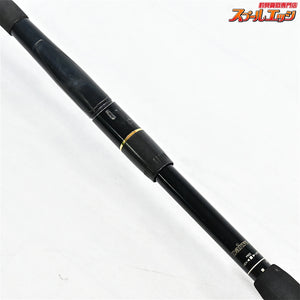 【ダイワ】 チームダイワ-S S1003T-3FS ソルトウォーター DAIWA TEAM DAIWA-S Salt Water シーバス イナダ ワラサ K_159