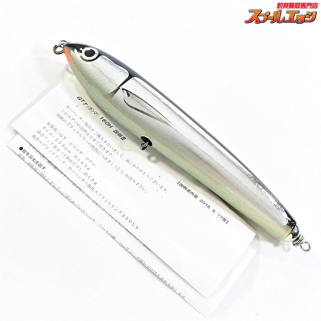 【カーペンター】 GTガンマ GT-γ 160H 255mm 165g 背黒 ブラック メタル貼り Carpenter GAMMMA 海水用ルアー K_060