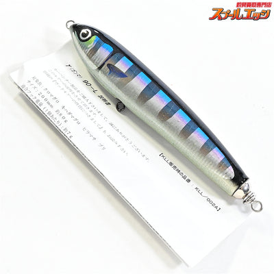 【カーペンター】 GTガンマ GT-γ 90L ブリモドキ Carpenter GAMMMA 海水用ルアー K_060