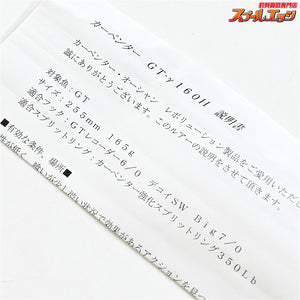 【カーペンター】 GTガンマ GT-γ 160H 255mm 165g ブラックバック ホロ貼り Carpenter GAMMMA 海水用ルアー K_060