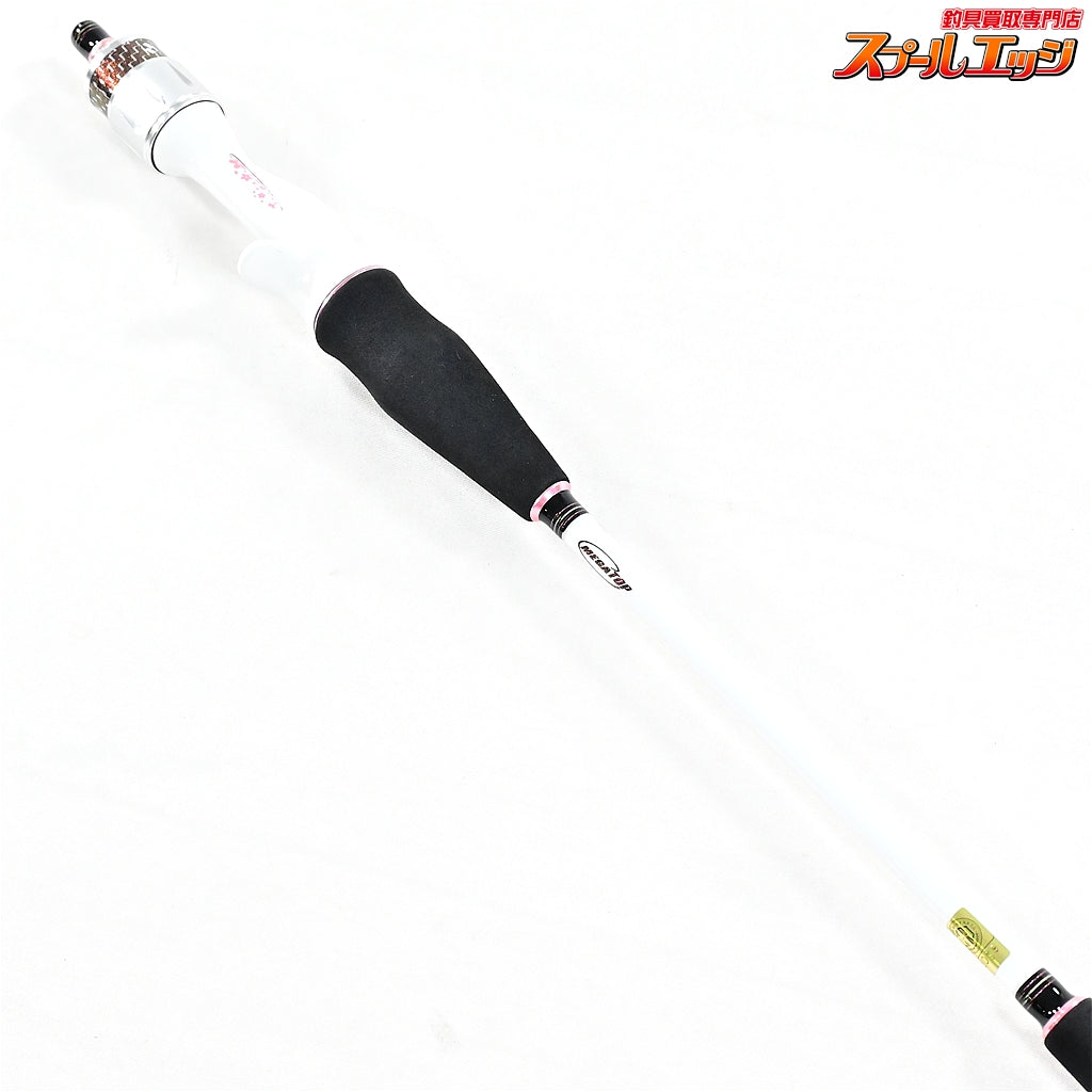 【ダイワ】 19紅牙 エア タイプN 65MB TG AM 秋丸美帆シグネチャーモデル DAIWA KOHGA AIR TYPE-N マダイ K_198