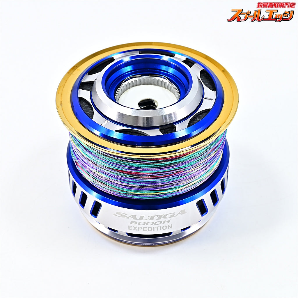 【ダイワ】 14ソルティガ 8000H エクスペディション DAIWA SALTIGA EXPEDITION