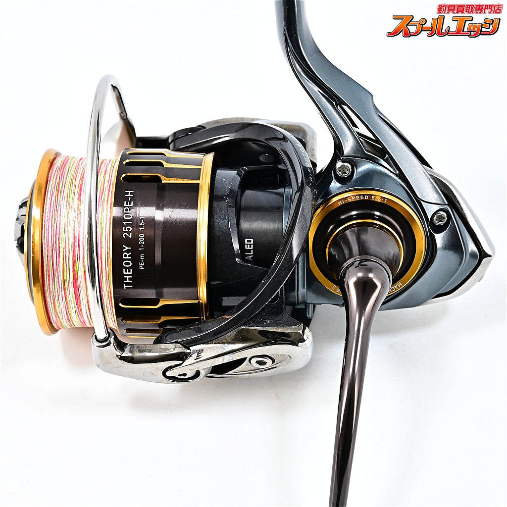 【ダイワ】 17セオリー 2510PE-H DAIWA THEORY