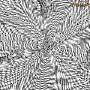 【双雲】 天然枠 玉網 研ぎ出し マーブル 2mm網 へら専科芳季 ヘラブナ K_100