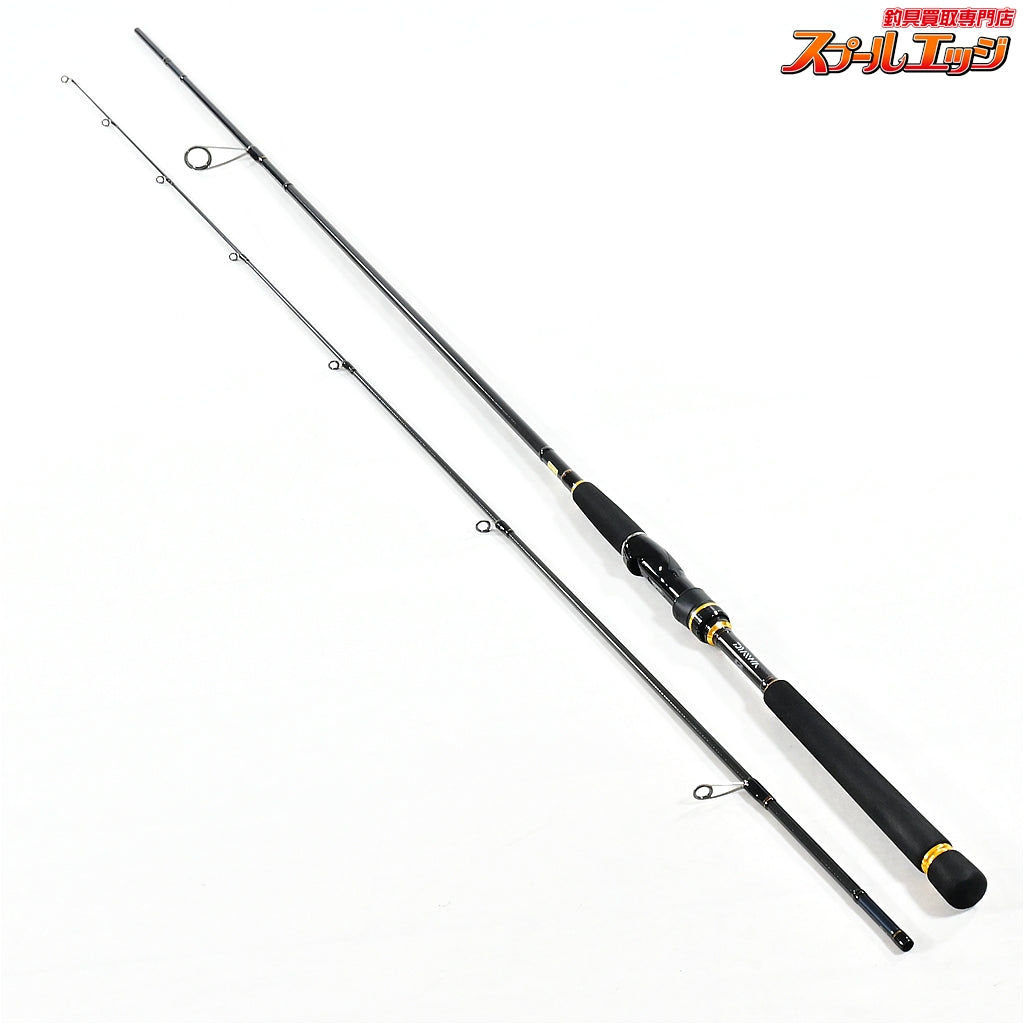 【ダイワ】 13ラテオ 90L・Q DAIWA LATEO シーバス K_184