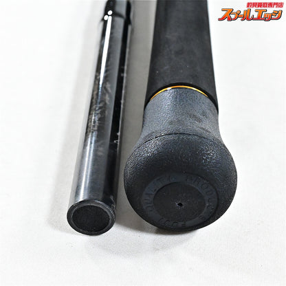 【ダイワ】 24ソルティガ C 79-10 キャスティング DAIWA SALTIGA CASTING クロマグロ GT K_215